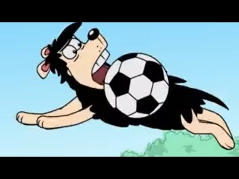 Catch Gnasher | Funny Episodes | Dennis and Gnasher