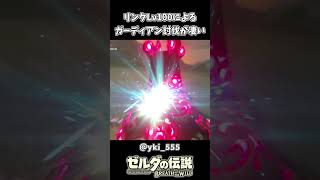 【ブレワイ】リンクLv100によるガーディアン討伐【ゼルダの伝説 ブレス オブ ザ ワイルド】