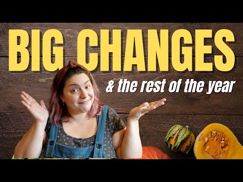 UPDATES & CHANGES FOR 2025 | Channel Housekeeping