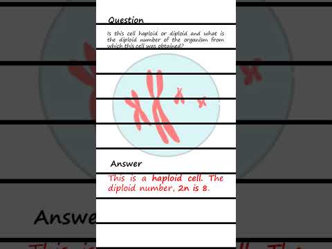 Differentiating Haploid and Diploid cells Q & A #biology #genetics