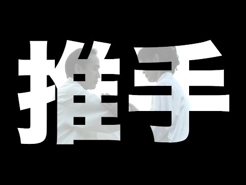 《太極拳推手》 四正四隅推手(雙推大履)單練式-正面側面背面