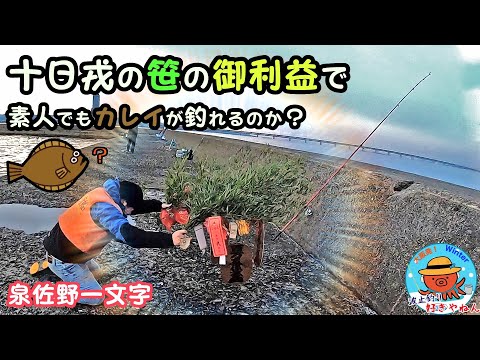 【葵渡船】投釣りカレイで初心者が運試し!!【泉佐野一文字】