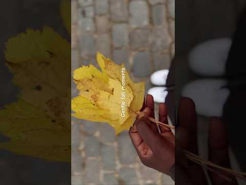 Gentle magically autumn moments 🍁🍂🕯️💕 #silentvlog #slowliving #baking #fall #shortswithcamilla