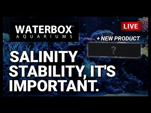 Episode 142:  Salinity Stability, It's Important.