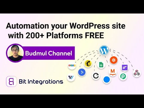 Automation your WordPress site with 200+ Platforms [FREE]| Bit Integrations