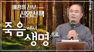 배광하 신부와 함께하는 신앙산책ㅣ19회_죽음에서 생명으로 | 춘천교구 배광하 치리아코 신부