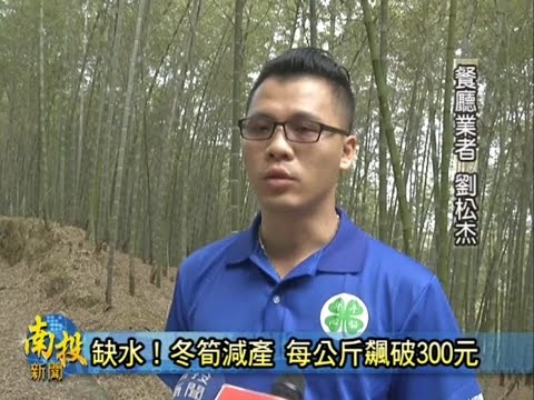 鹿谷冬筍量減價揚 南投新聞