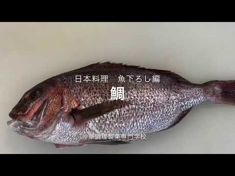 日本料理基本　#2  魚のおろし 鯛編