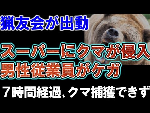 【猟友会が出動】クマがスーパーに立てこもり男性従業員がケガ。猟友会や警察がクマと対峙し１時の時点でクマ捕獲に至らず。