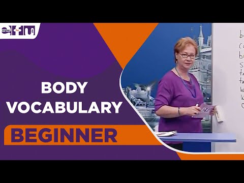 Beginner Level – Body Vocabulary | English For You