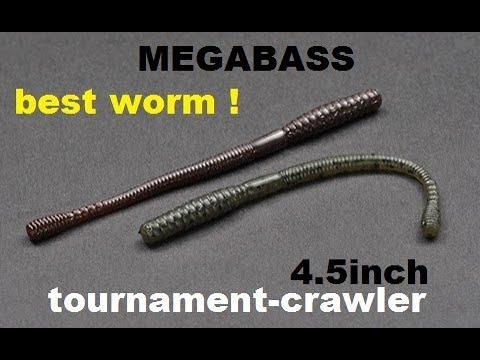 MEGABASS tournament crawler , explication