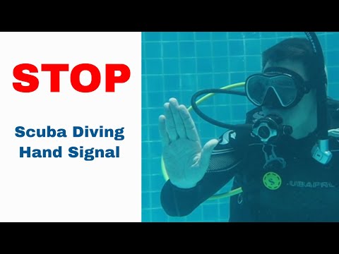 Stop Sign ✋ Scuba Diving Hand Signal