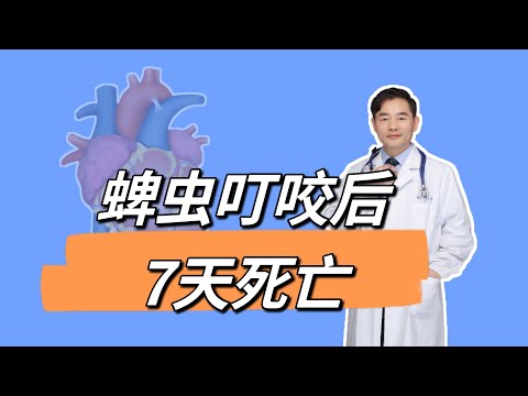 被小虫咬伤后仅7天死亡，又到高发季，身上有“小黑点”一定要警惕