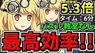 【最高効率】経験値5.3倍！両サレ裏修羅！パズル教室なし 6-8分台！ランク上げ編成！代用・立ち回り解説！サレサレ裏修羅！【パズドラ】