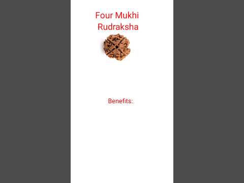 Four Mukhi Rudraksha #shorts #rudraksha #holyfirereiki