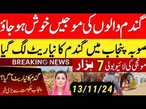 today wheat price in punjab//گندم کا ریٹ/25 '2024/munji makki till sarso/galla mandi rates today