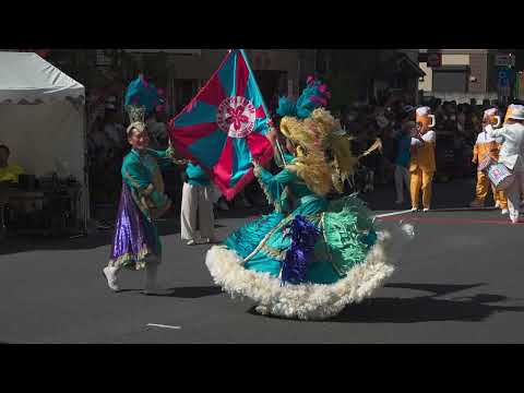 [4K-HDR] 浅草サンバカーニバル2024 Flor De Matsudo Cereja（フロール・ジ・松戸・セレージャ）