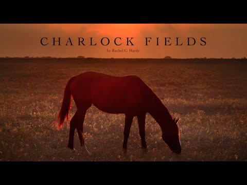 "Charlock Fields" Original Composition by Rachel C. Hardy