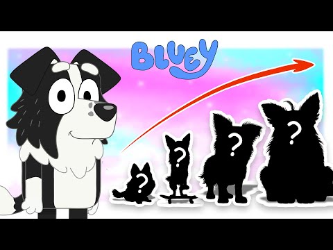 Bluey Growing Up In Real Life Compilation | GO WOW