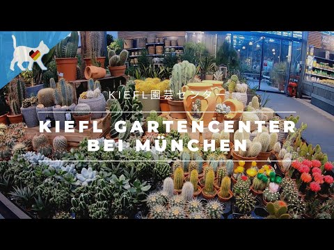 ドイツの日常　ミュンヘンの園芸センターで買い物：Kiefl Gartencenter bei München