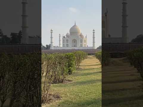 The Mehtab Bagh provides a perfect view of the Taj Mahal across the Yamuna river in Agra, India!