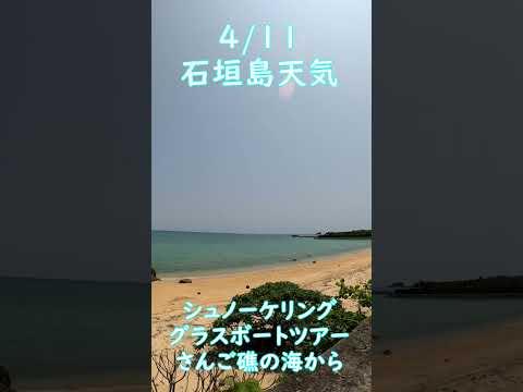 【石垣島天気】4月11日12時ごろ。15秒でわかる今日の石垣島の様子。