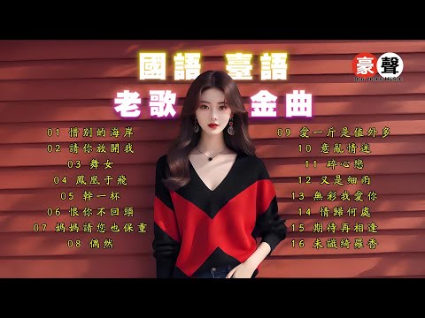 【國語台語 老歌金曲】惜别的海岸｜請你放開我｜舞女｜鳳凰于飛｜幹一杯｜恨妳不回頭｜媽媽請您也保重｜偶然｜愛一斤是值外多｜意亂情迷｜碎心戀｜又是細雨 Mandarin Oldies 70's (歌詞版)