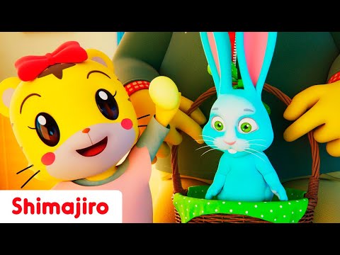 Look for Easter Eggs! 🐰🥚🐇✨ | Celebrating Easter with Shimajiro | Nursery Rhymes & Songs for Kids