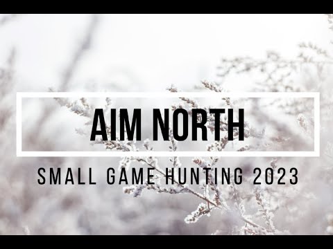 Small Game Hunting With The CZ 455 And Winchester WildCat 22Lr