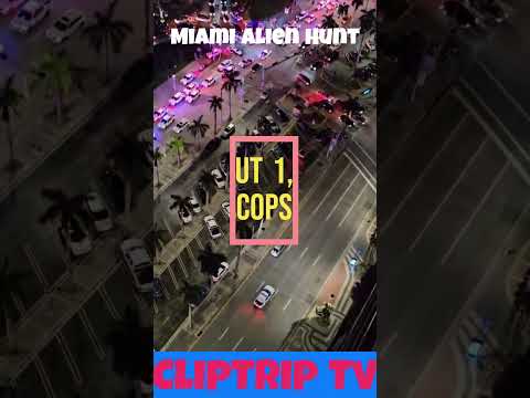 Miami Alien Hunt #miamialien #miamibeach #miamicops #cliptriptv