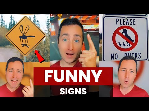 Funny Signs | Taylor Nikolai Compilation