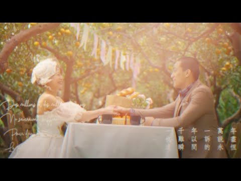 Love Story｜影像創作 Creative film｜小甜筒影像制作