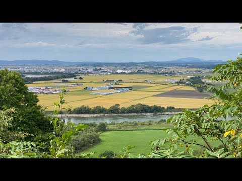 北海道の米どころから生配信と近況報告