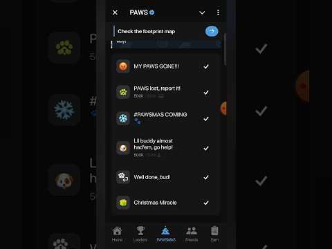 PAWS new task—PAWSMAS | Christmas miracle & well done | #paws #newtask #pawsmas #christmas #miracle