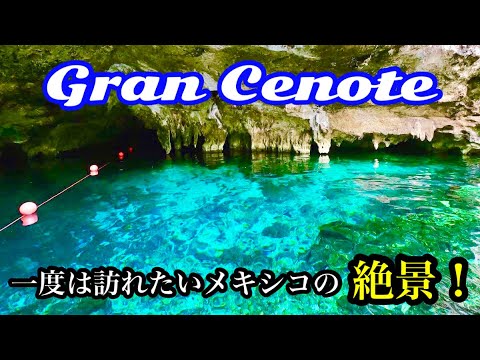 メキシコ🇲🇽一度は訪れたい美しすぎる地底湖【Gran Cenote】