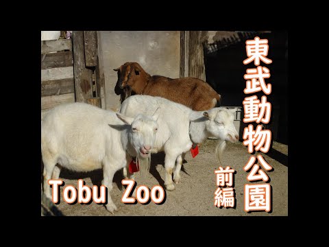 動物園を見すぎてあまり乗り物に乗れなかった東武動物公園！前編！