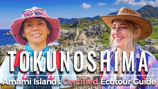 Eco tourism in Tokunoshima Island English Subtitles 徳之島 カムィヤキの森 ハイキング 英語字幕