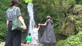 酷暑忘れる納涼スポット…津山市の横野滝にぎわう　名物のそうめん流しも大人気【岡山】 (24/08/05 11:33)