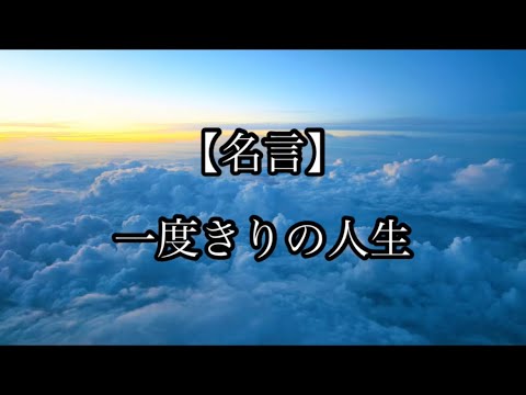 【名言】 一度きりの人生 #心に刺さる言葉 #心に響く言葉 #名言 #悩み #人生