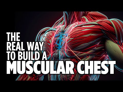 The Real Way to Build a Muscular Chest