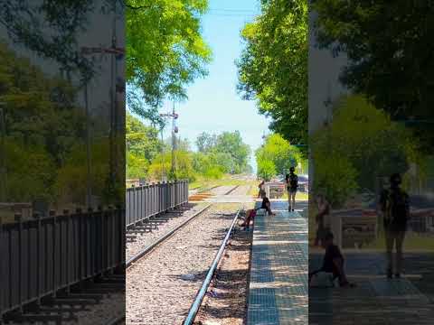 Esperando el Sarmiento en la estación de Gral. Rodríguez #shorts #buenosaires