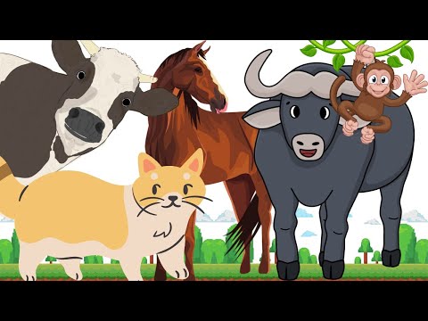 Mammals in the world - Cat Cow Horse Buffalo Monkey - Animal Sounds