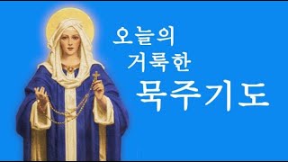 묵주 기도 - 환희의 신비 (생방송 2024/12/28 오전 9시, 한국시간)