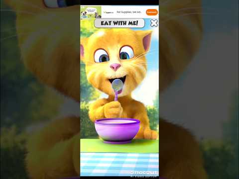 Talking Tom || Ginger 2 || #funny #shortvideo #short #subscribe #talkingtom2gameplaylevel100