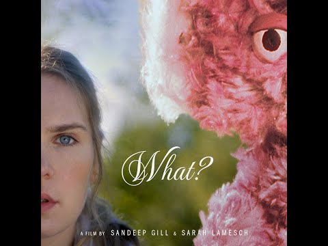 What? - A Comedy Short