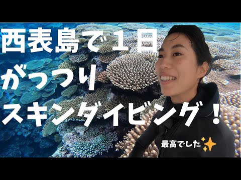 西表島で1日スキンダイビング！サンゴの量がやばかった【沖縄の海VLOG】