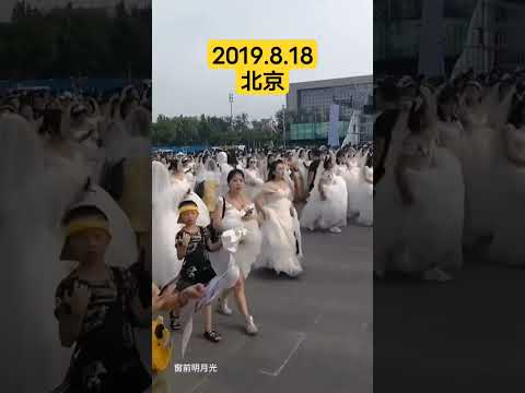 2019.08.18宁哥的后宫佳丽三千