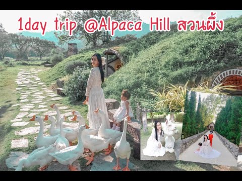 1day trip @ Alpaca Hill สวนผึ้ง | Vlog | กระเตงลูกเที่ยว