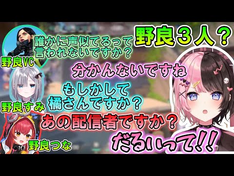 野良VCに配信者バレするひな～のと悪乗りするすーちゃん＆つなちゃん【ぶいすぽっ！/花芽すみれ/猫汰つな/橘ひなの/切り抜き】