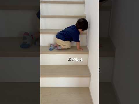 初めての階段は怖かった #shorts #shortvideo #赤ちゃん #baby #階段 #初めて #1歳 #かわいい #癒し #cute #よくできました #新築